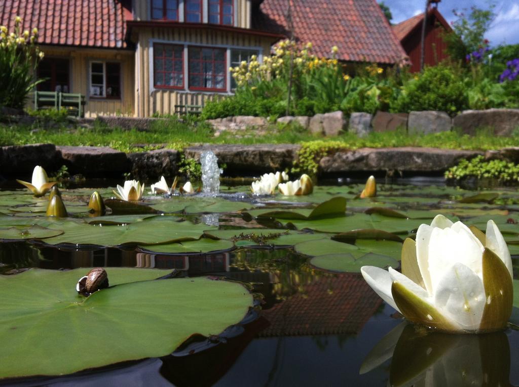 Vildrosor & Hoens Hagstad Esterno foto